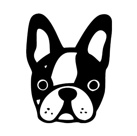 blackdog