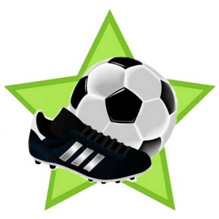 botin pelota