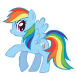pony